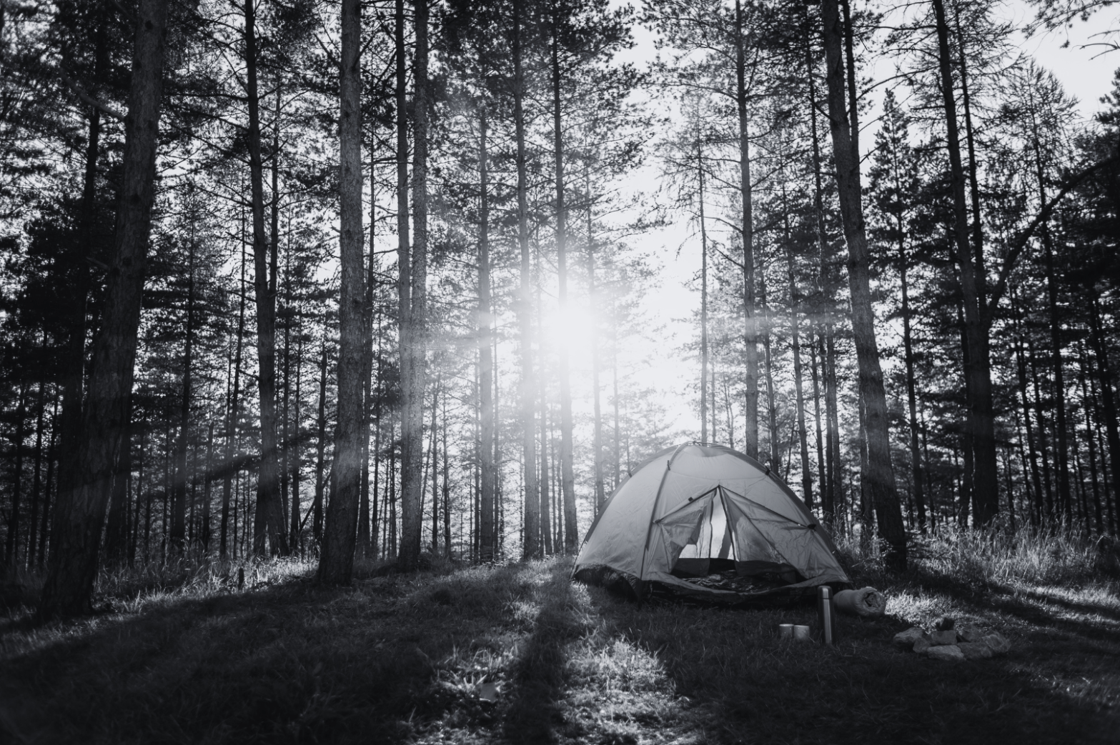 Black and white photo of a camping tent in the woods